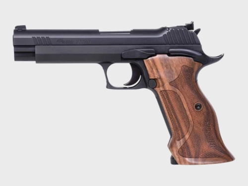 P210 Target