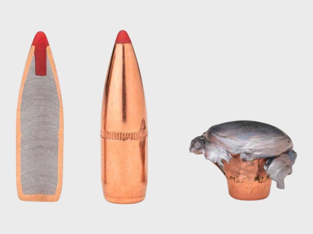 Munition Hornady .45_70 Gov.
